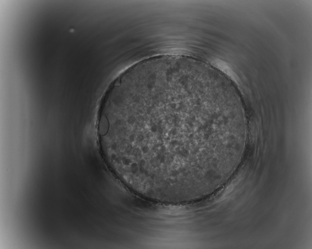 X0000090411071200707201056