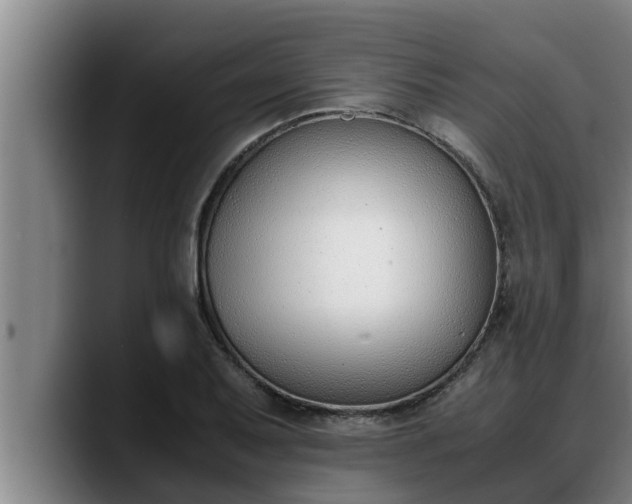 X0000090411079200707201056