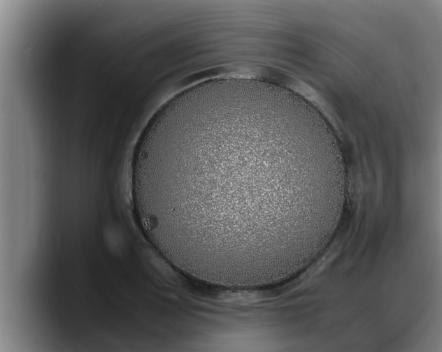 X0000090411083200707201056