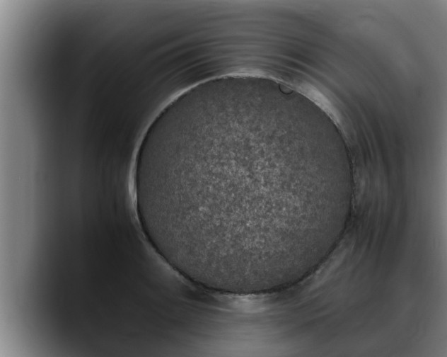 X0000090411084200707201056