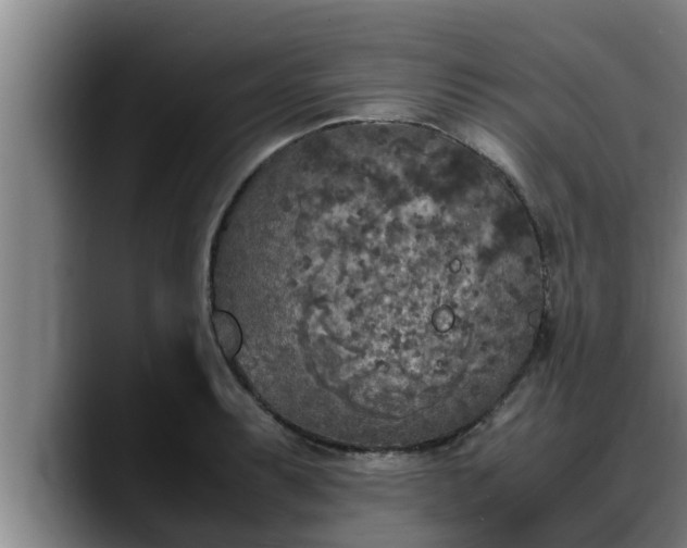 X0000090411087200707201056