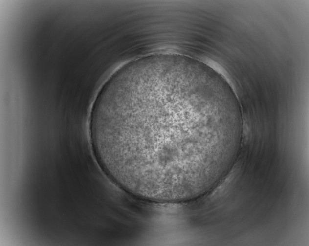 X0000090411090200707201056