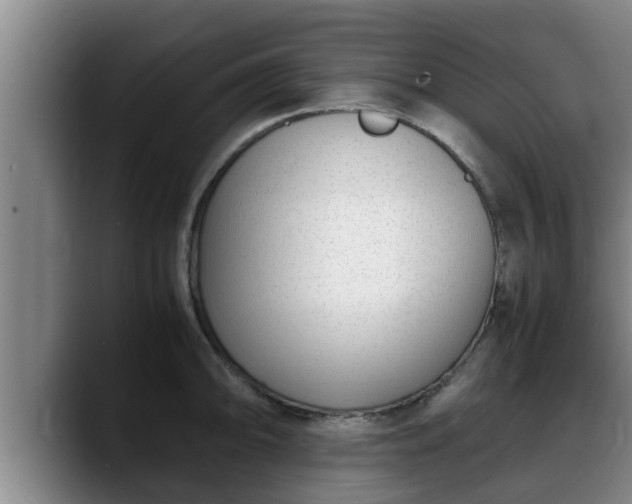 X0000090411094200707201056