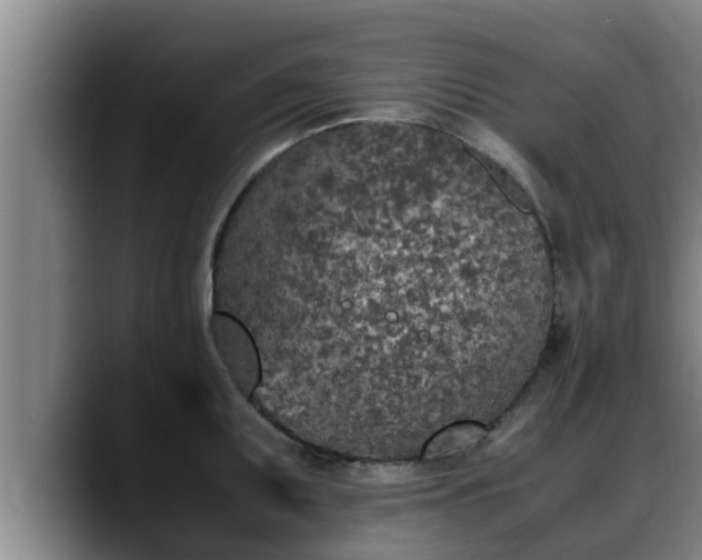 X0000090411095200707201056