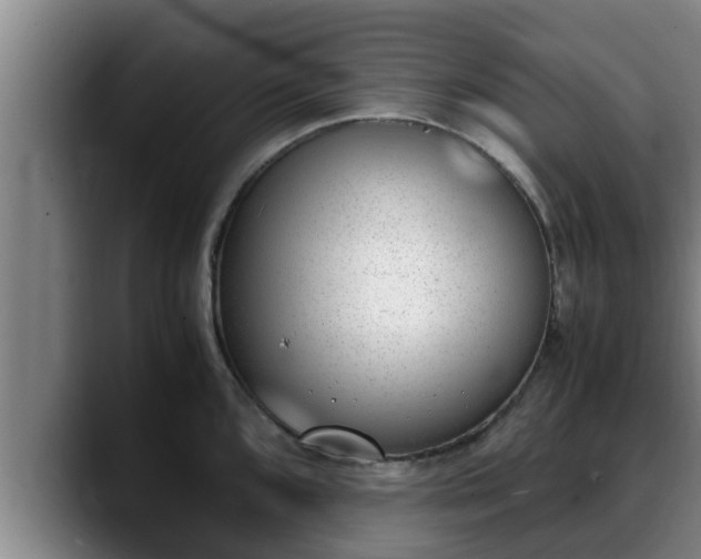 X0000090411096200707201056
