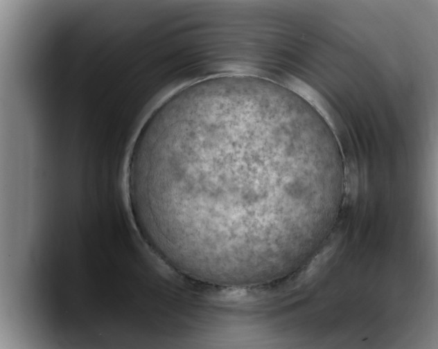 X0000090411098200707201056