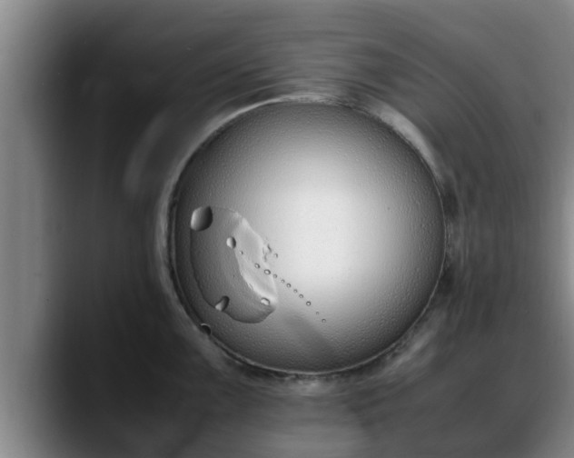 X0000090411099200707201056