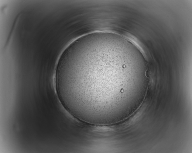 X0000090411100200707201056