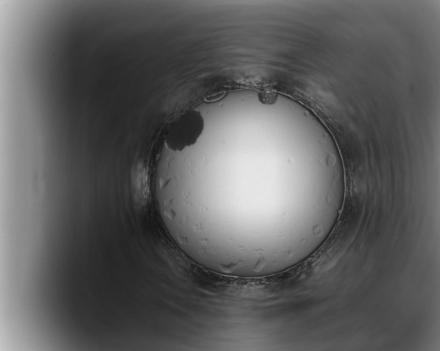 X0000090411106200707201055