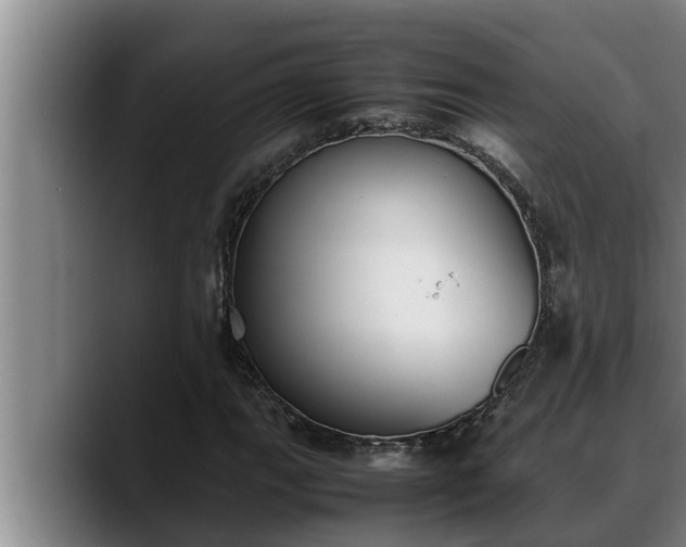 X0000090411111200707201055