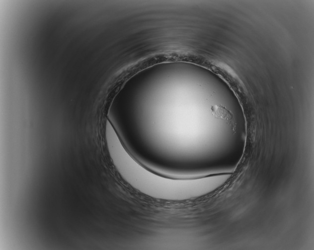 X0000090411112200707201055