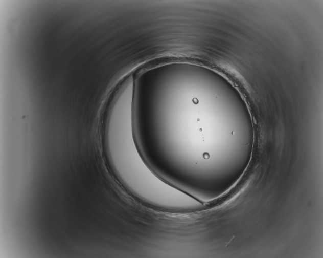 X0000090411114200707201055