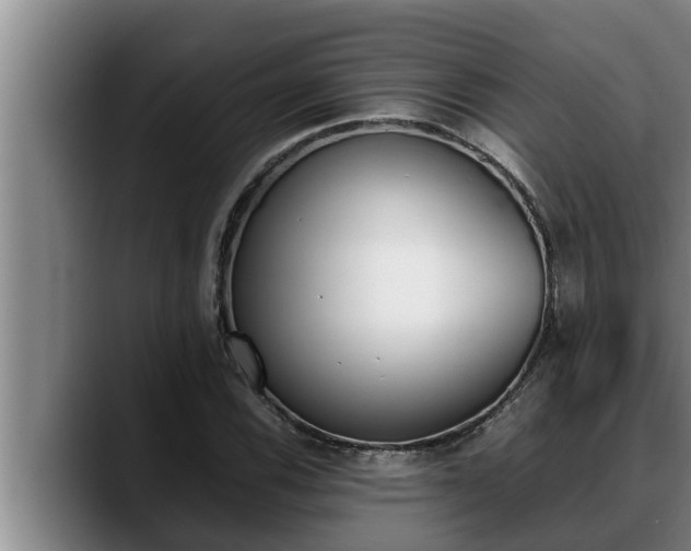 X0000090411116200707201055