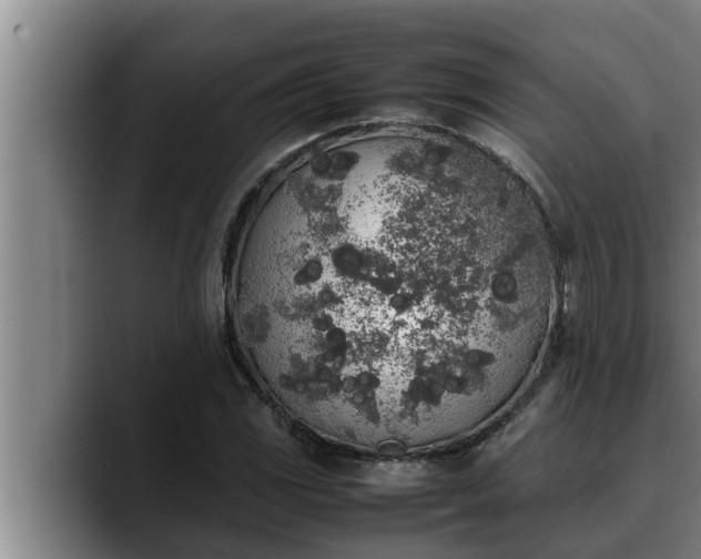 X0000090411117200707201055