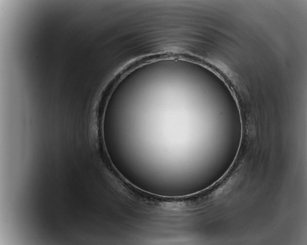 X0000090411118200707201055