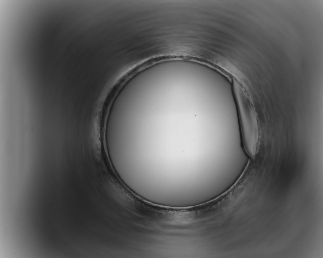X0000090411120200707201055