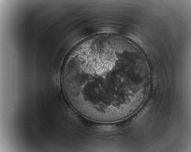 X0000090411121200707201055