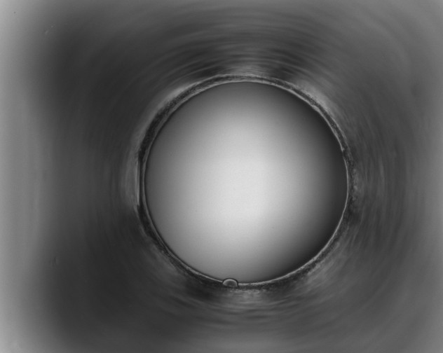 X0000090411123200707201055