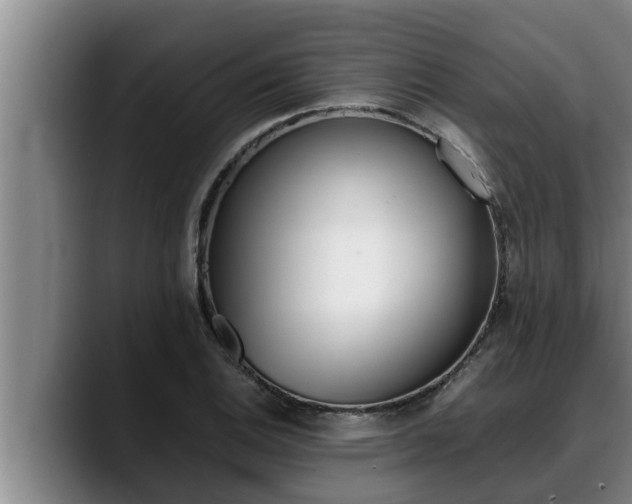 X0000090411124200707201055
