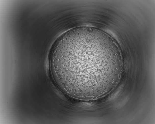 X0000090411125200707201055