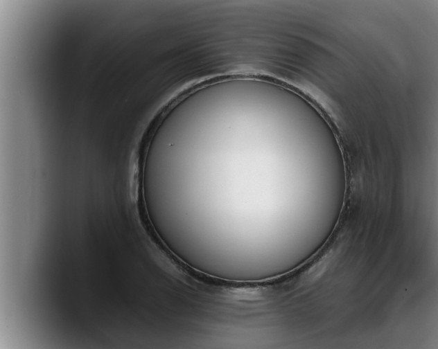 X0000090411126200707201055