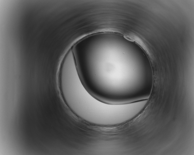 X0000090411140200707201055