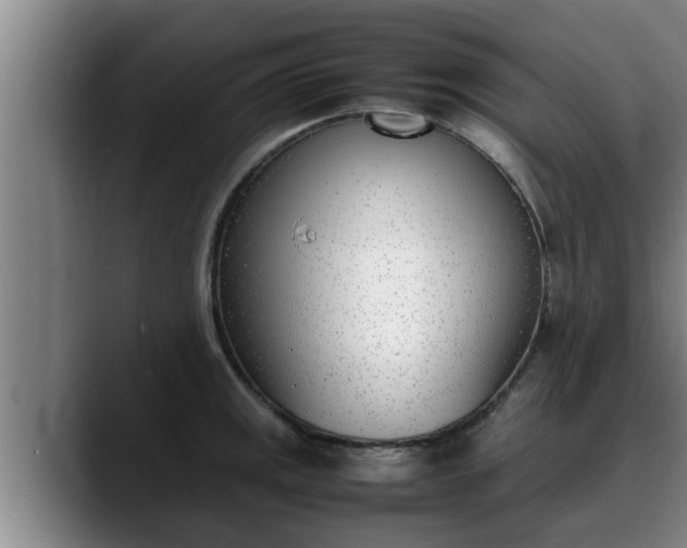 X0000090411141200707201055