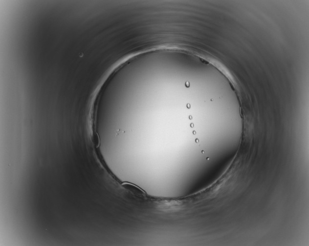 X0000090411148200707201056