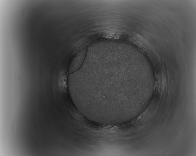 X0000090411154200707201055