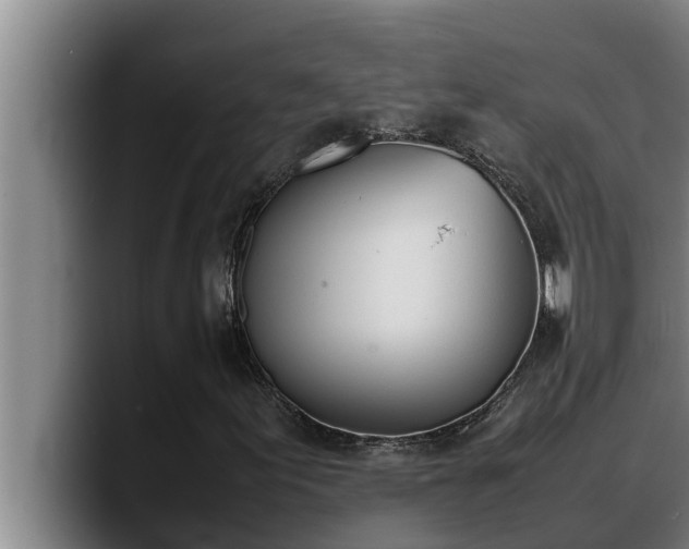 X0000090411155200707201055