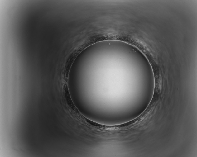 X0000090411157200707201055