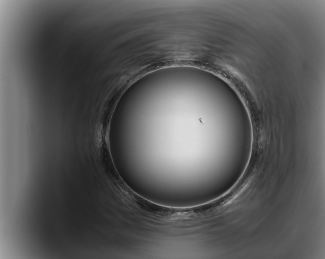 X0000090411161200707201055