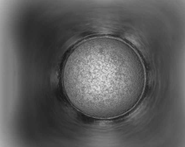 X0000090411163200707201055