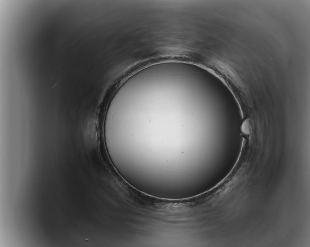 X0000090411164200707201055