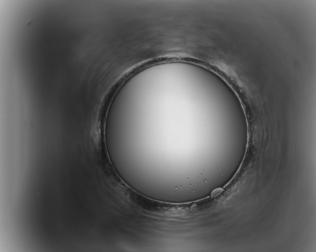 X0000090411167200707201055