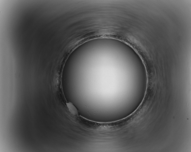 X0000090411169200707201055