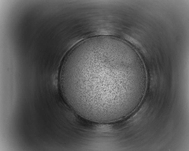 X0000090411170200707201055