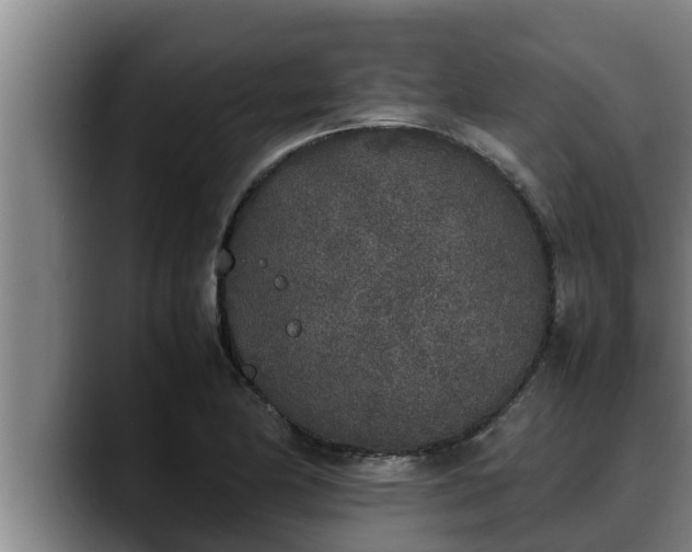 X0000090411174200707201055