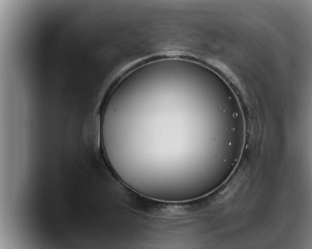 X0000090411175200707201055