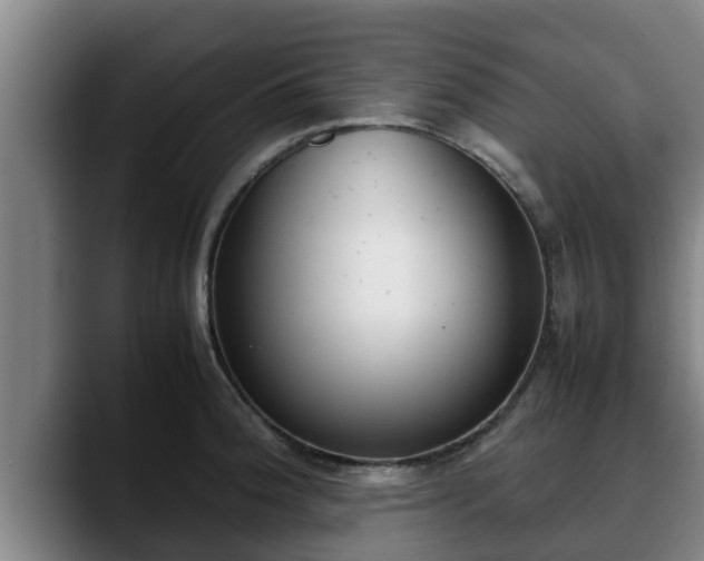 X0000090411188200707201055