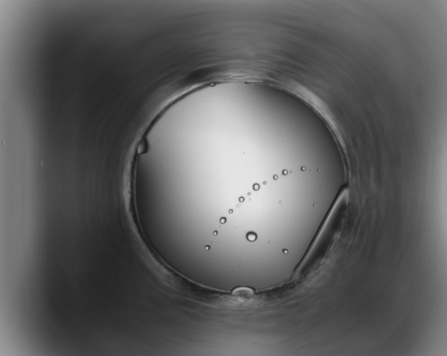 X0000090411195200707201055