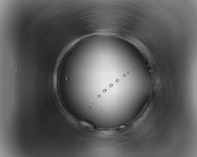 X0000090411196200707201055