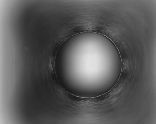 X0000090411202200707201054