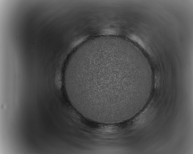 X0000090411213200707201054