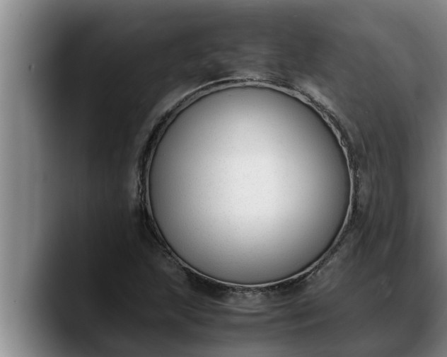 X0000090411215200707201054