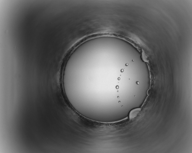 X0000090411216200707201054