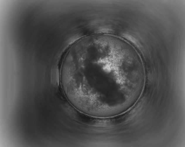 X0000090411219200707201054