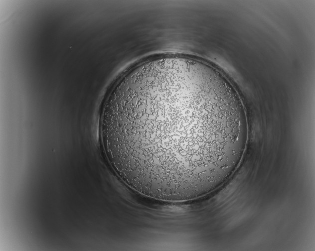 X0000090411224200707201054