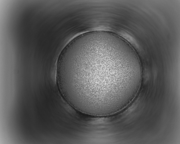 X0000090411228200707201054