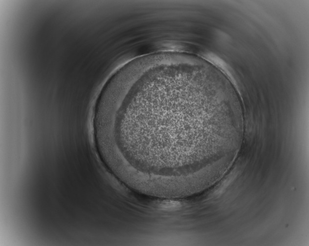 X0000090411235200707201054